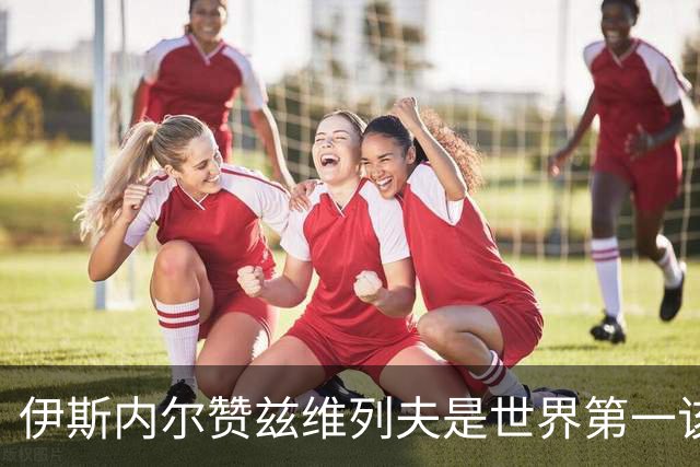 伊斯内尔赞兹维列夫是世界第一该有的样子，世界最好接发球员之一