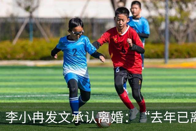 李小冉发文承认离婚：“去年已离互不牵扯，互不打扰，祝各自安好”